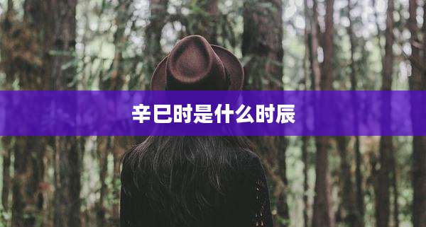 辛巳时是什么时辰