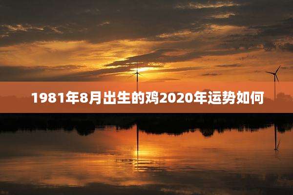 1981年8月出生的鸡2020年运势如何