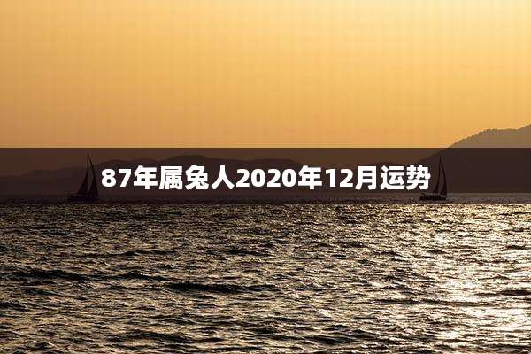 87年属兔人2020年12月运势
