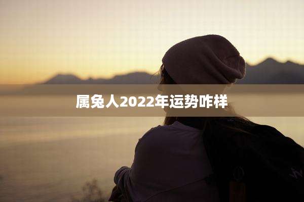 属兔人2022年运势咋样