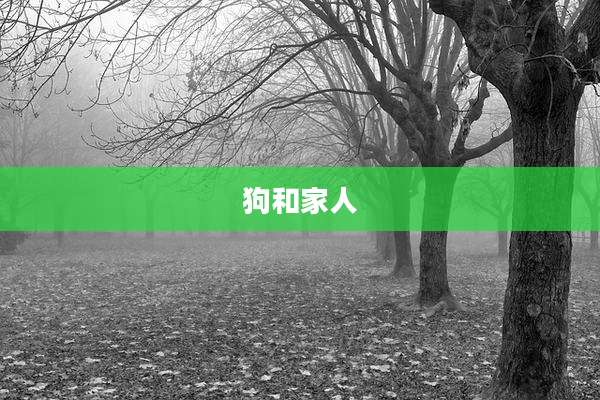 狗和家人