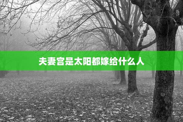 夫妻宫是太阳都嫁给什么人