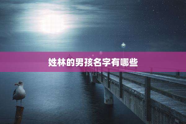 姓林的男孩名字有哪些