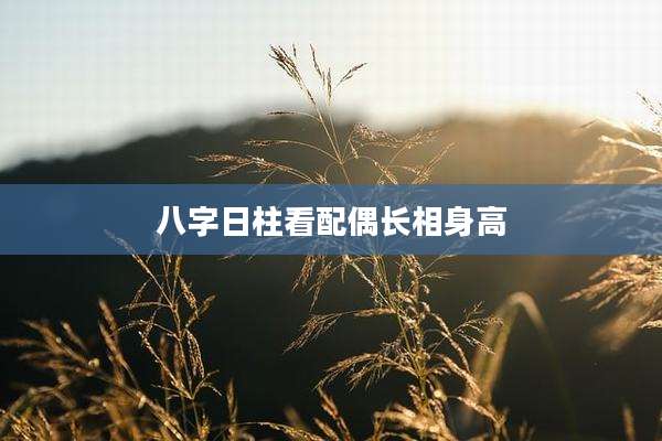 八字日柱看配偶长相身高