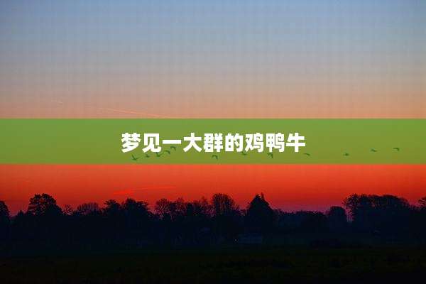 梦见一大群的鸡鸭牛