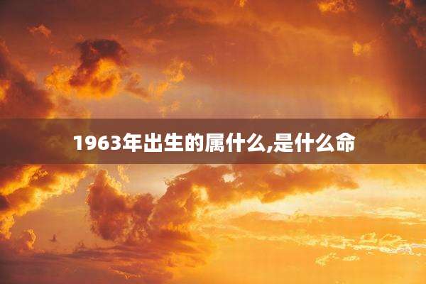 1963年出生的属什么,是什么命