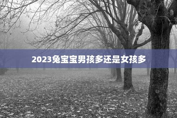 2023兔宝宝男孩多还是女孩多
