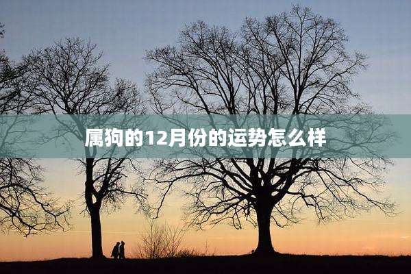 属狗的12月份的运势怎么样