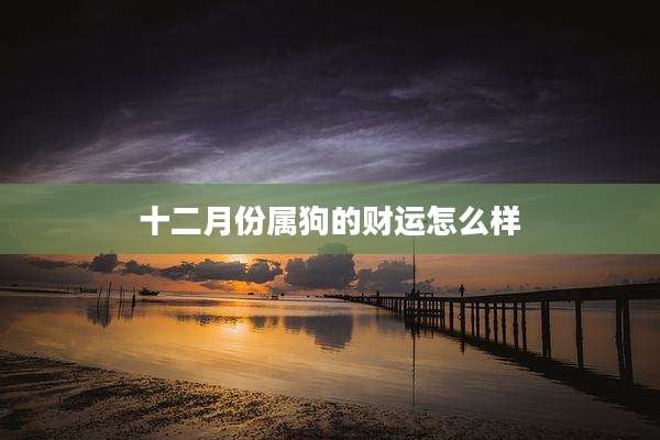 十二月份属狗的财运怎么样