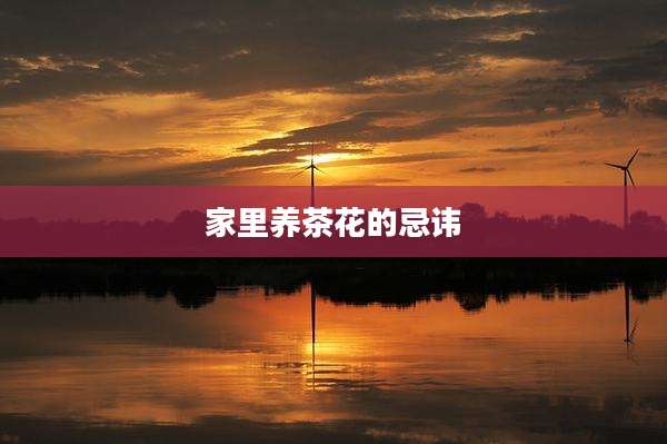 家里养茶花的忌讳
