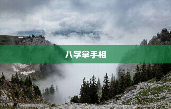 八字掌手相
