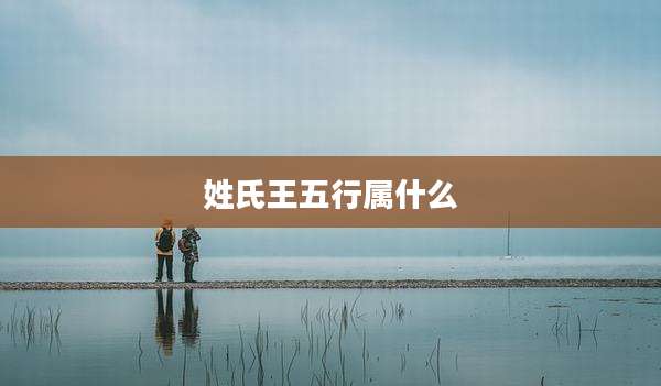 姓氏王五行属什么