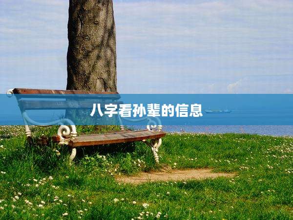 八字看孙辈的信息
