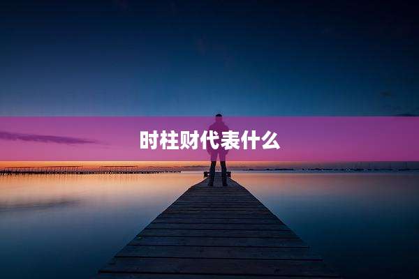时柱财代表什么