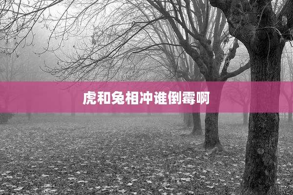 虎和兔相冲谁倒霉啊