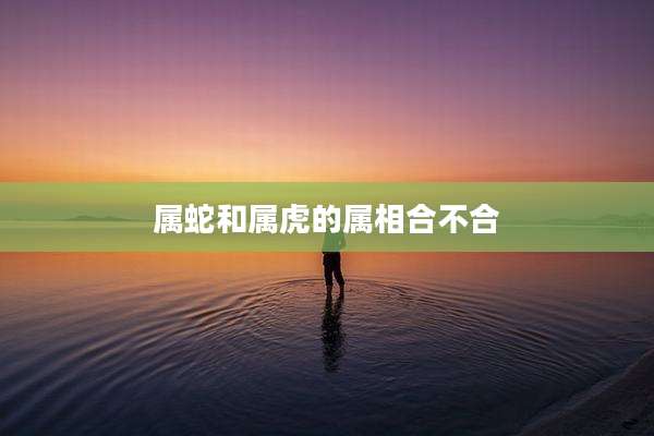 属蛇和属虎的属相合不合