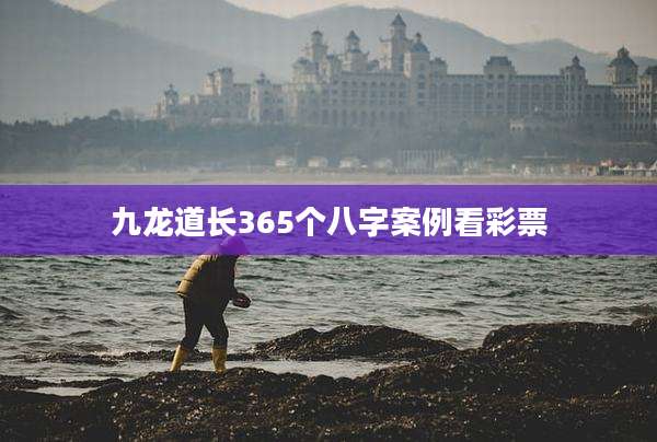 九龙道长365个八字案例看彩票