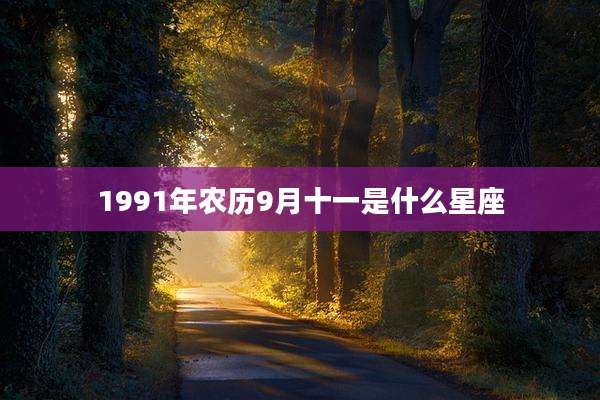 1991年农历9月十一是什么星座