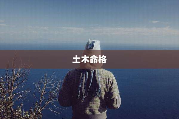 土木命格