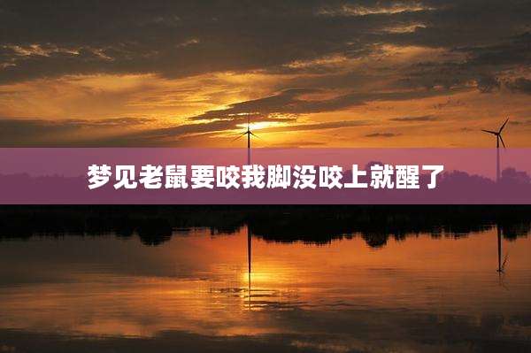 梦见老鼠要咬我脚没咬上就醒了