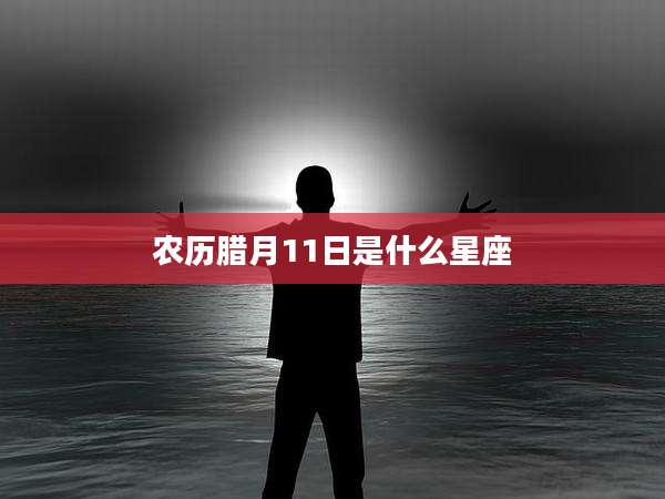 农历腊月11日是什么星座