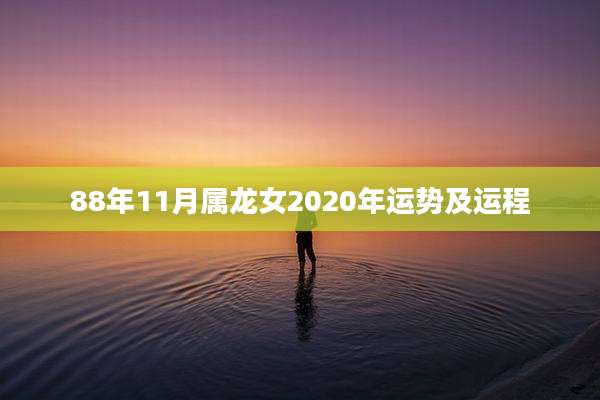 88年11月属龙女2020年运势及运程