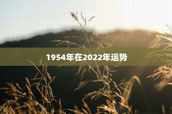 1954年在2022年运势