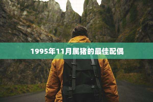 1995年11月属猪的最佳配偶