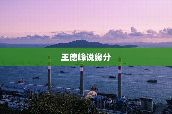 王德峰说缘分