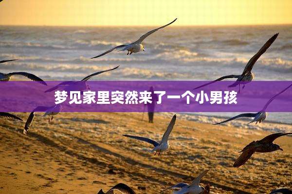 梦见家里突然来了一个小男孩
