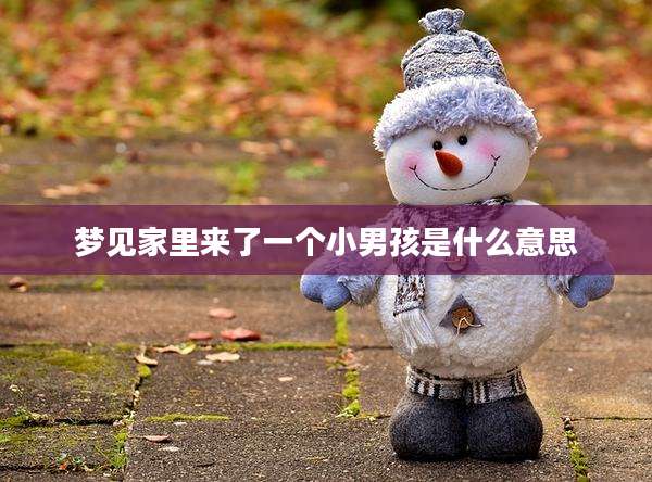 梦见家里来了一个小男孩是什么意思