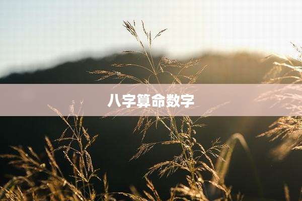 八字算命数字