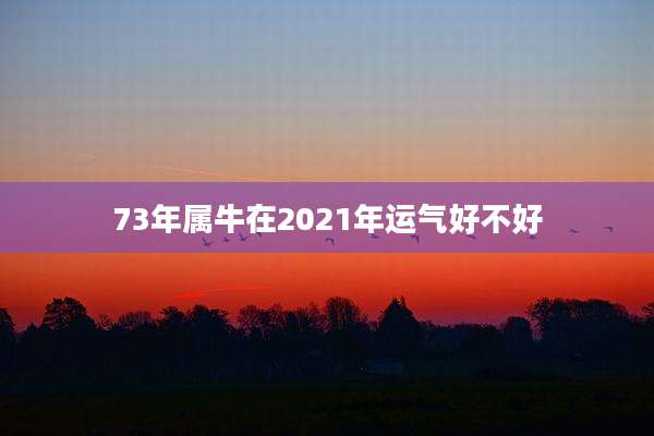 73年属牛在2021年运气好不好