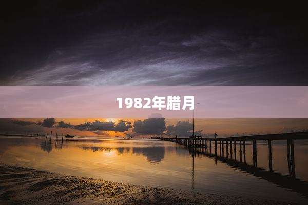 1982年腊月