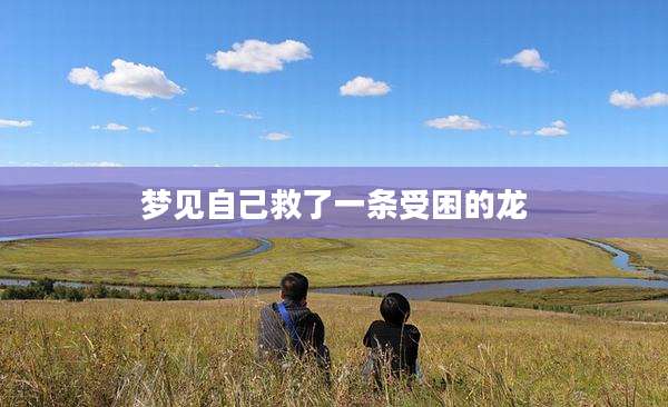 梦见自己救了一条受困的龙