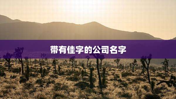 带有佳字的公司名字