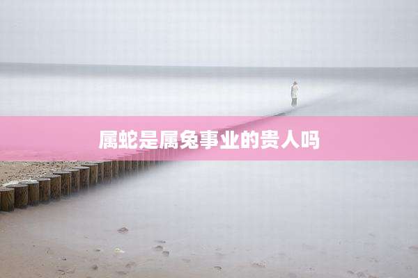 属蛇是属兔事业的贵人吗