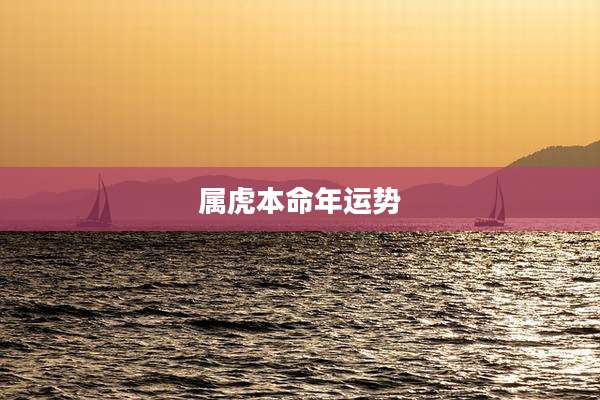 属虎本命年运势