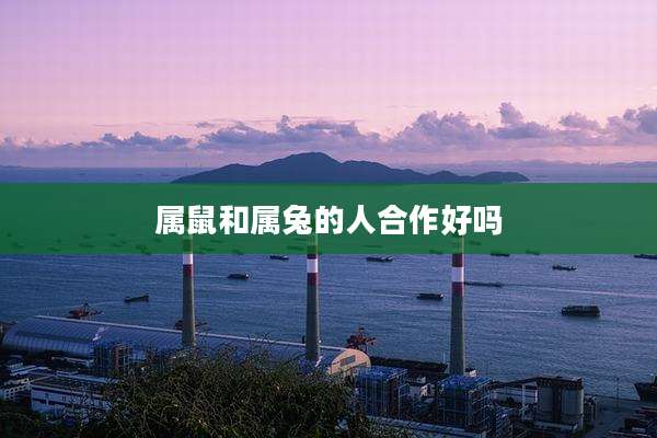 属鼠和属兔的人合作好吗
