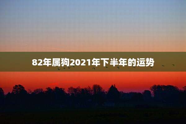 82年属狗2021年下半年的运势