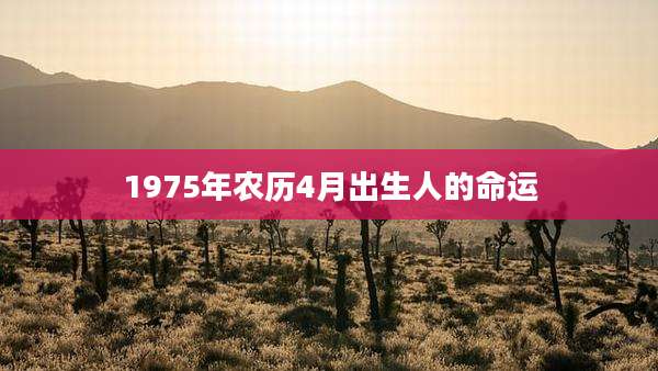 1975年农历4月出生人的命运