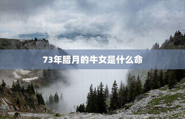 73年腊月的牛女是什么命