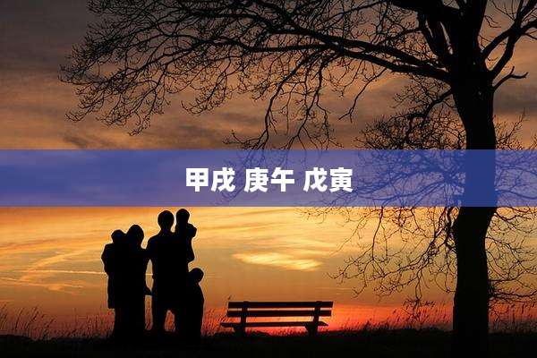 甲戌 庚午 戊寅