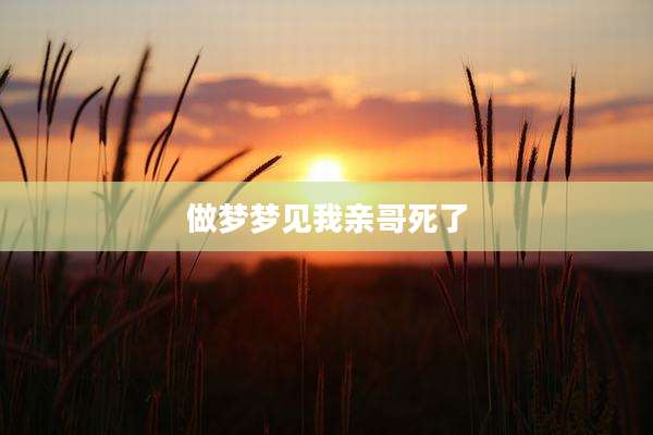 做梦梦见我亲哥死了