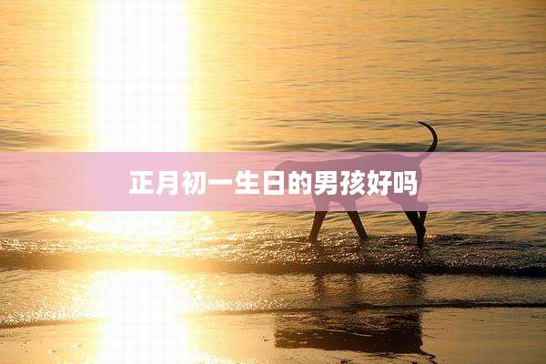 正月初一生日的男孩好吗