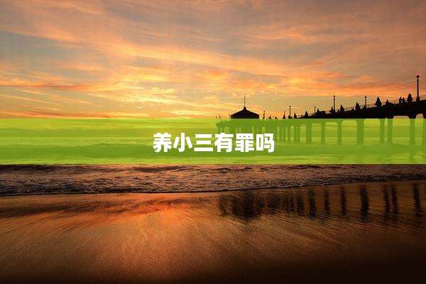 养小三有罪吗
