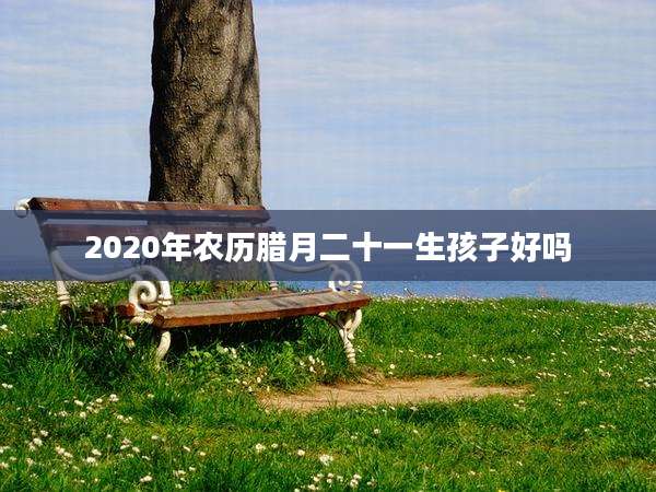 2020年农历腊月二十一生孩子好吗