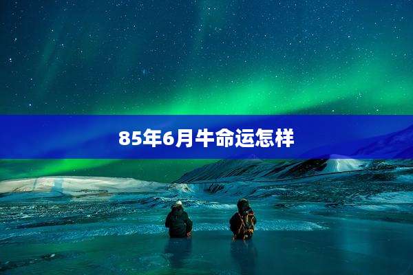 85年6月牛命运怎样