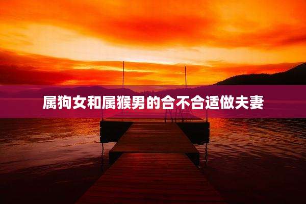 属狗女和属猴男的合不合适做夫妻