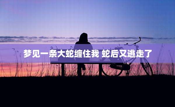 梦见一条大蛇缠住我 蛇后又逃走了